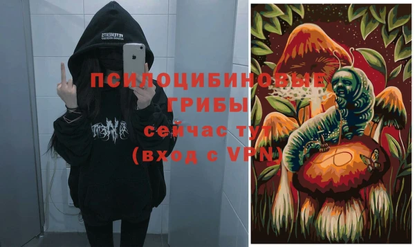 твердый Алексин