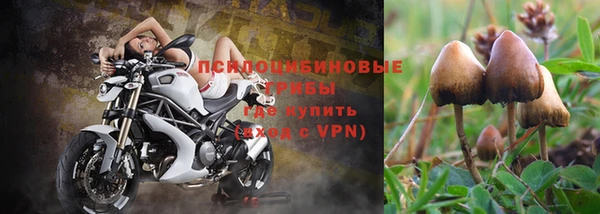 альфа пвп VHQ Алзамай