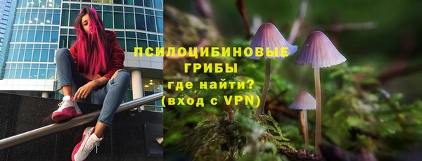 твердый Алексин